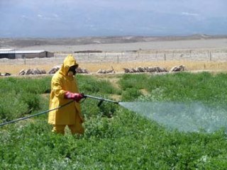 PESTICIDA CAMPO  LABRANZA
